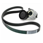 Lodgy Alternatör Kayış Bilya Seti